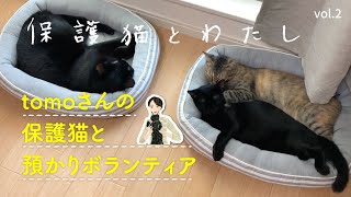 保護猫とわたしmovie【vol.2】