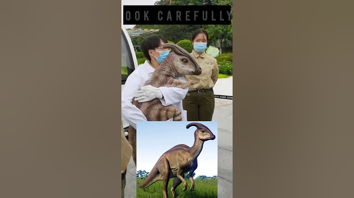 Extinct Animals found Alive 😳| Dinosaur 🦖 | #facts #shorts