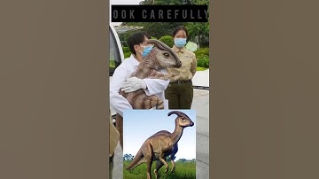 Thumbnail of Extinct Animals found Alive 😳| Dinosaur 🦖 | #facts #shorts