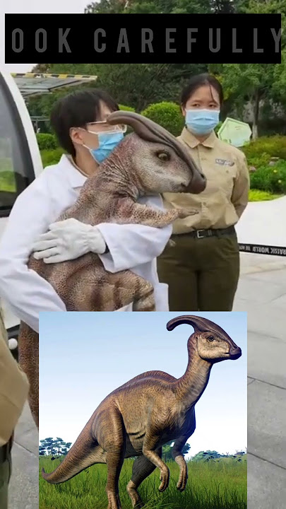 Extinct Animals found Alive 😳| Dinosaur 🦖 | #facts #shorts
