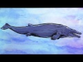 Whalevolution: Time Lapse