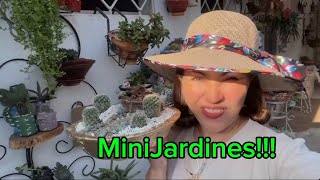 Mini jardines en macetas súper originales