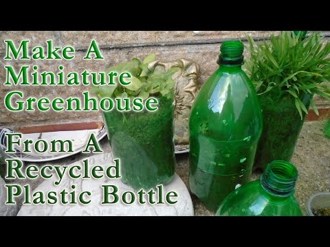 Make A Miniature Greenhouse From A Recycled Plastic Bottle