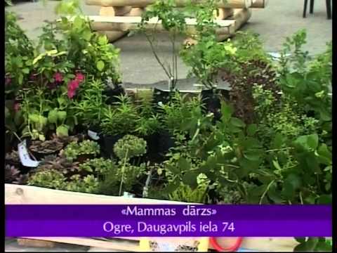 Video: Indīgākie telpaugi