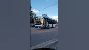 busy buses and more