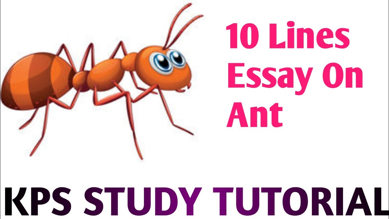 essay on ant for class 1