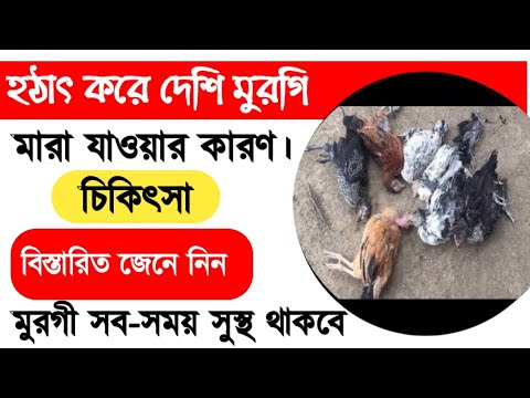 ভিডিও: প্রাকৃতিক কারণে মারা যাওয়ার মানে কি?