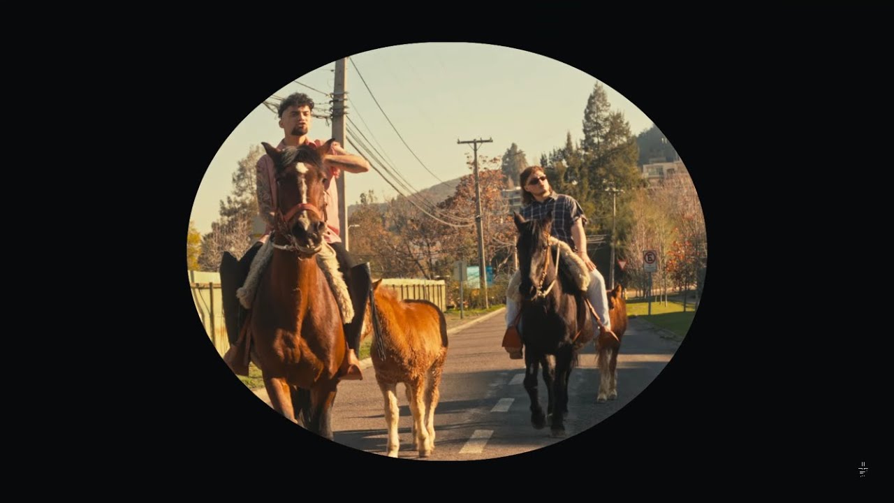 MALIU X Bode Boss - Sigo Trabajando (Official Video) | LOS TIBURONES