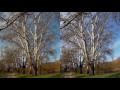 Git2 vs Git2P (170 degree) action camera side by side comparison