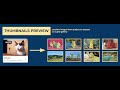 How to preview images thumbnails in Supervisely