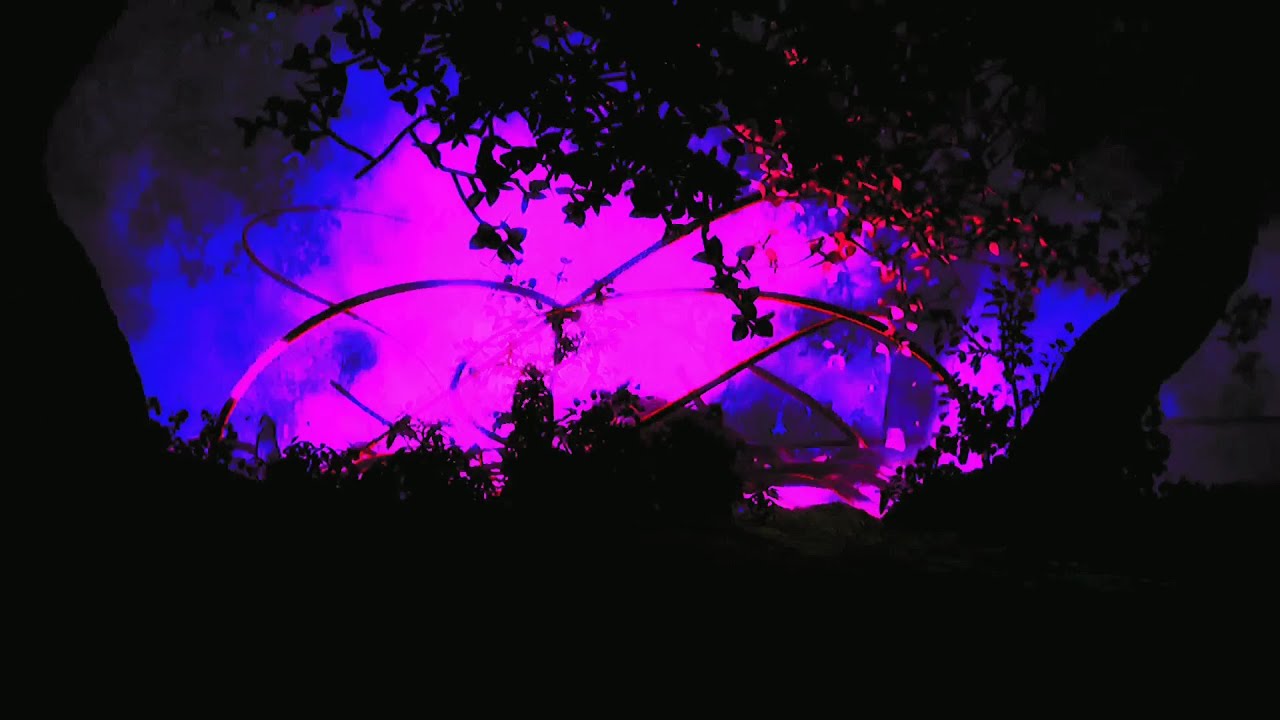 Looking - RXLZQ Edit (Fate/stay night)