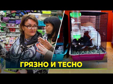 Жители Нового Уренгоя возмутились содержанием животных в зоомагазинах