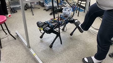 [Quadruped Robot] First experiment and reactions for push recovery.