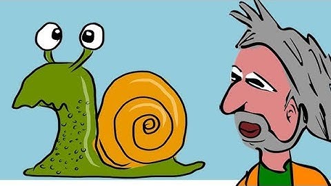 Riddle #702 - Snail Race
