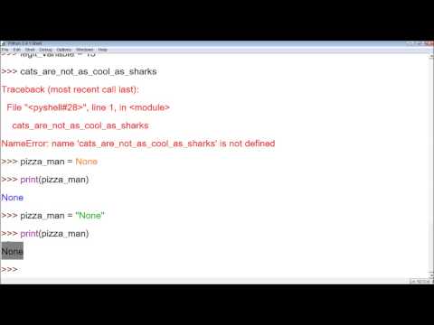Python Tutorial 21 - How To Test If A Variable Has A Value