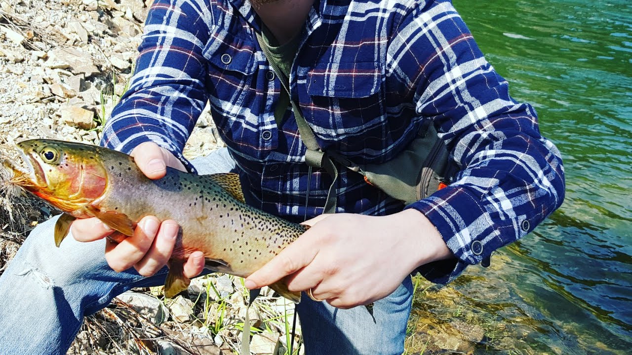 Fly Fishing 2017 in the rain YouTube