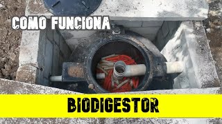 COMO FUNCIONA UN BIODIGESTOR PASO A PASO #biodigestor #construccion #baño