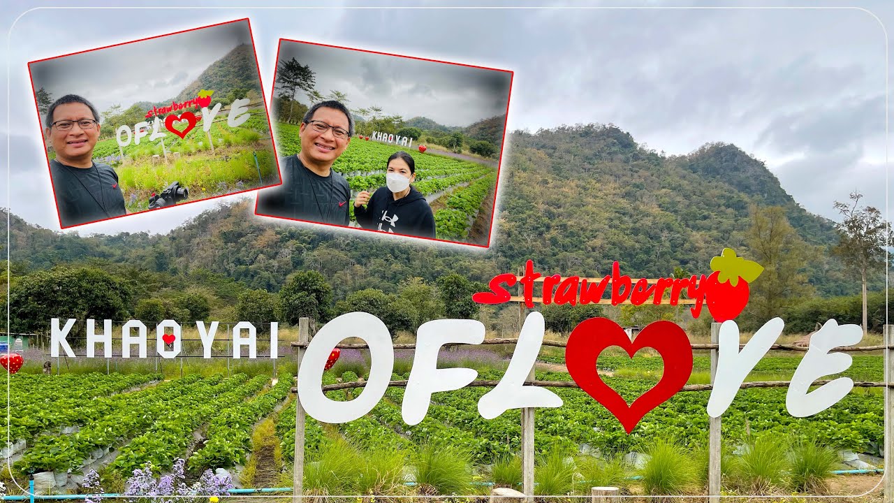 KHAO YAI STRAWBERRY OF LOVE STRAWBERRY FARM MORNING WALK AND