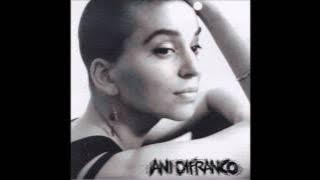 Ani DiFranco - Every Angle