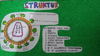 Pembuatan Model Virus Hiv Aids Huwaida Hayatunufus X4 Biologi