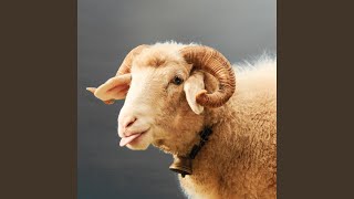 Bis Es Mir Wieder Guet Gaht