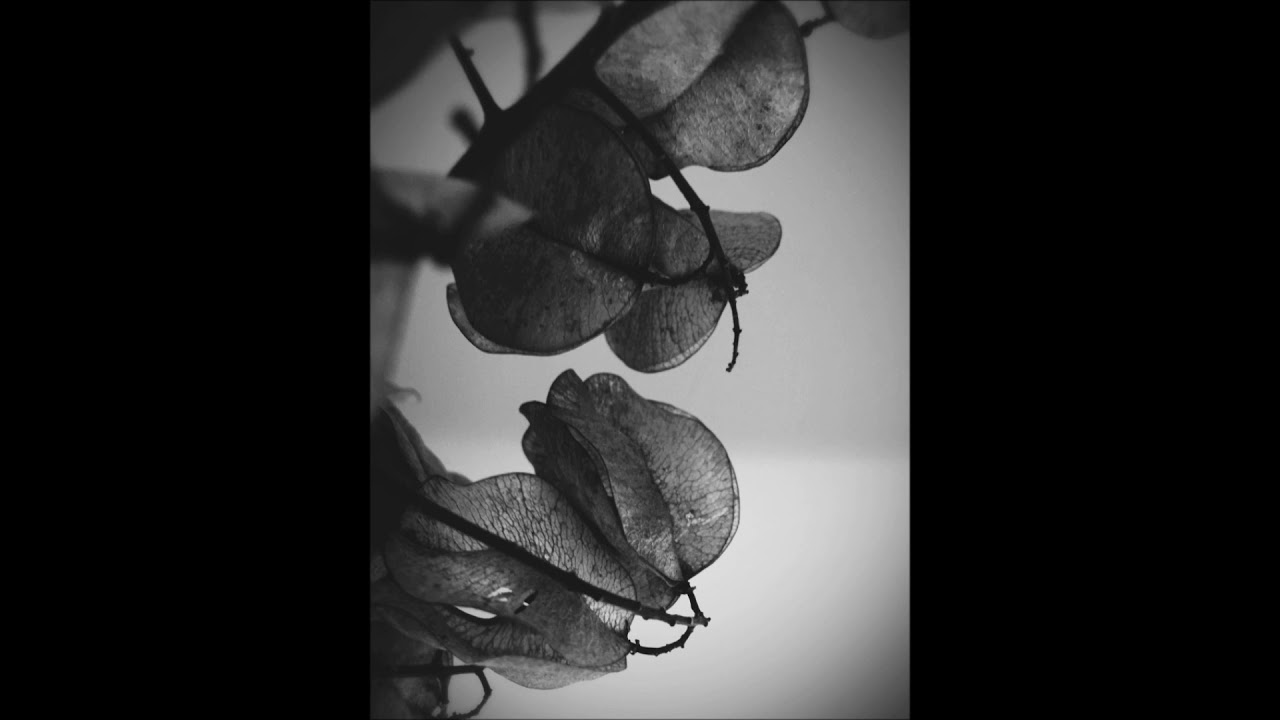 Max Richter - Dream 3 (in the midst of my life)