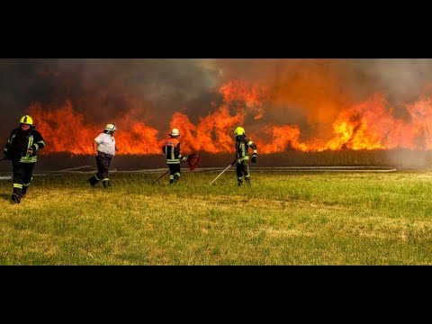 Mehrere Stoppelfelder brennen auf Hochebene bei Kruspis - Wind facht Feuer an