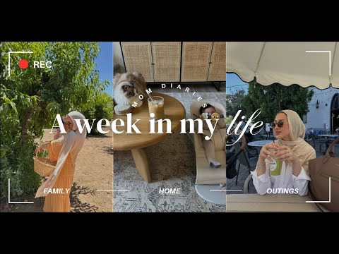 Mom Week In The Life