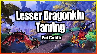 Lesser Dragonkin Taming│Hunter Pet Guide│Dragonflight