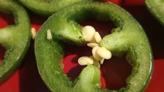 Jalapeno Peppers 🌶 Growing Guide with Tips & Tricks