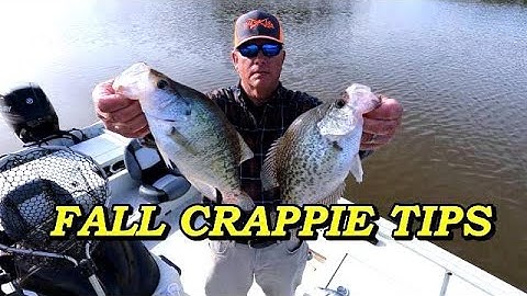 Tips voor het vissen op Crappie in de herfst | Waar je Crappie kunt vinden in oktober + Beste aas...