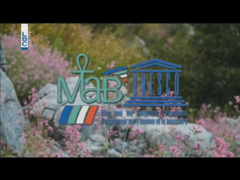   22 9 2016 كلام الناس تقرير محمية جبل موسى