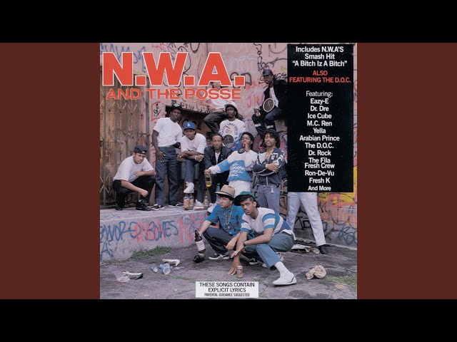 n.w.a. - panic zone