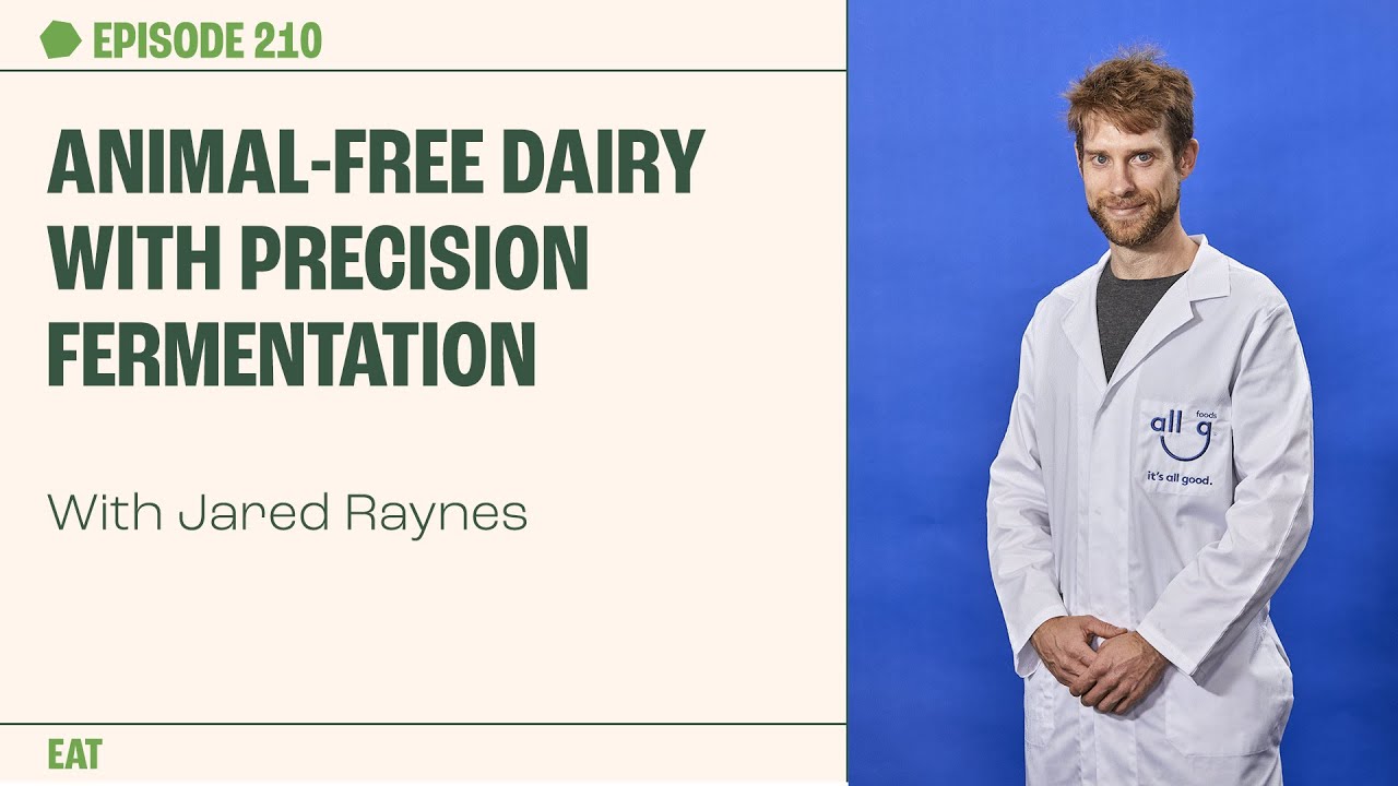 Animal-Free Dairy with Precision Fermentation with Jared Raynes | The Proof clips EP 211