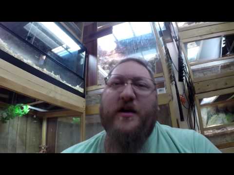 Reptile Room Update December 2016 Reptile Room Update December 2016