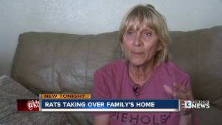 Tenants say landlord won't fix giant rat problem