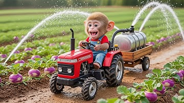 Monkey Nana the Tractor and the Unexpected Adventure of Purple Radish