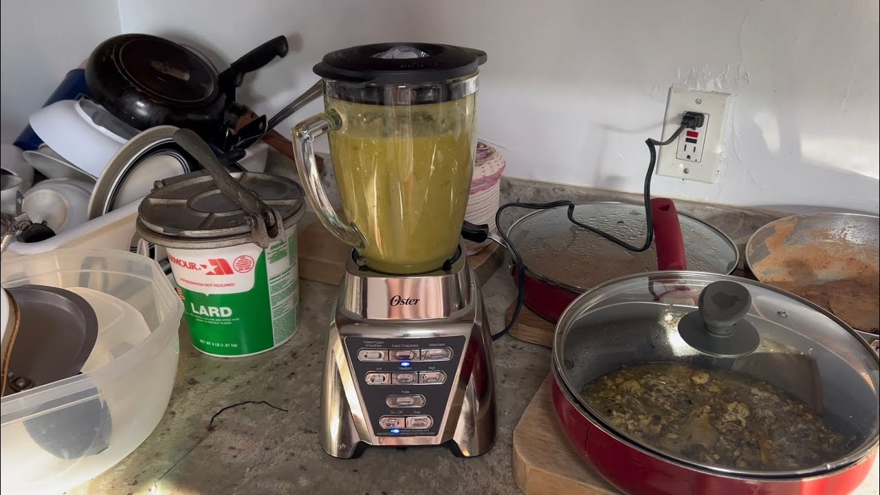 Oster Blender Pro 1200 Review