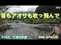 苔もアオサも吹っ飛んで！/ 田舎暮一記の釣り日記
