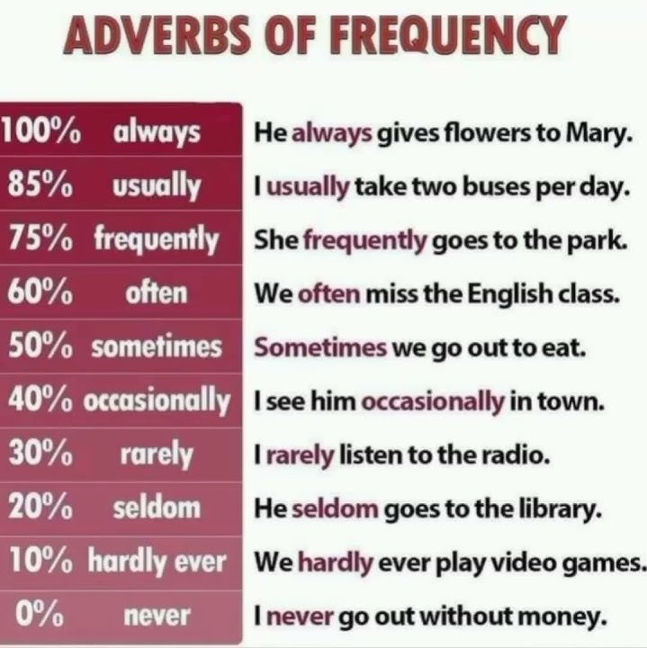 Adverbs of frequency