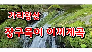 가리왕산 장구목이 이끼계곡