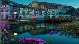 Colorful Flowers – Tokyo Music Walker (No Copyright Music) DROP TUNE-  FREE