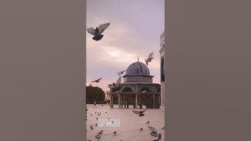 تلاوة عطرة من سورة الذاريات 🌱بصوت الشيخ سعود الشريم 🌱🍀🌿@قرآن ومعاني 🌱