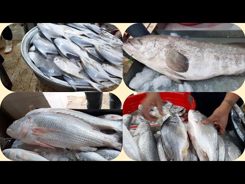 فيديو: نهر تيسا: الصورة والوصف. ما نوع السمك الموجود في نهر تيزا؟