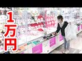 世界一クレーンゲームが多いお店で1万円取り放題チャレンジ！！