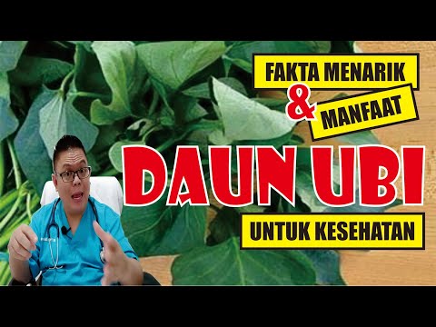 Video: Apakah daun ubi bisa dimakan?