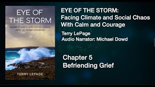 EYE OF THE STORM - YT - Chapter 5 - Befriending Grief