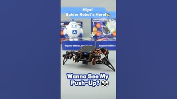 Spider Robot: Push-Ups, Fights, Dances & More – You Won’t Believe It! 😎🤖