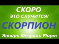 СКОРПИОН♏таро прогноз на ЯНВАРЬ, ФЕВРАЛЬ, МАРТ🌷 первый триместр года! Главные события периода!