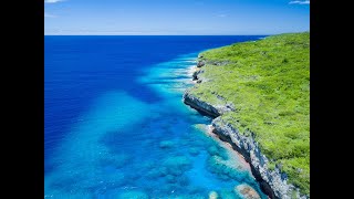 NIUE ISLAND for your next adventure holiday.  The way life used to be, the way life should be!